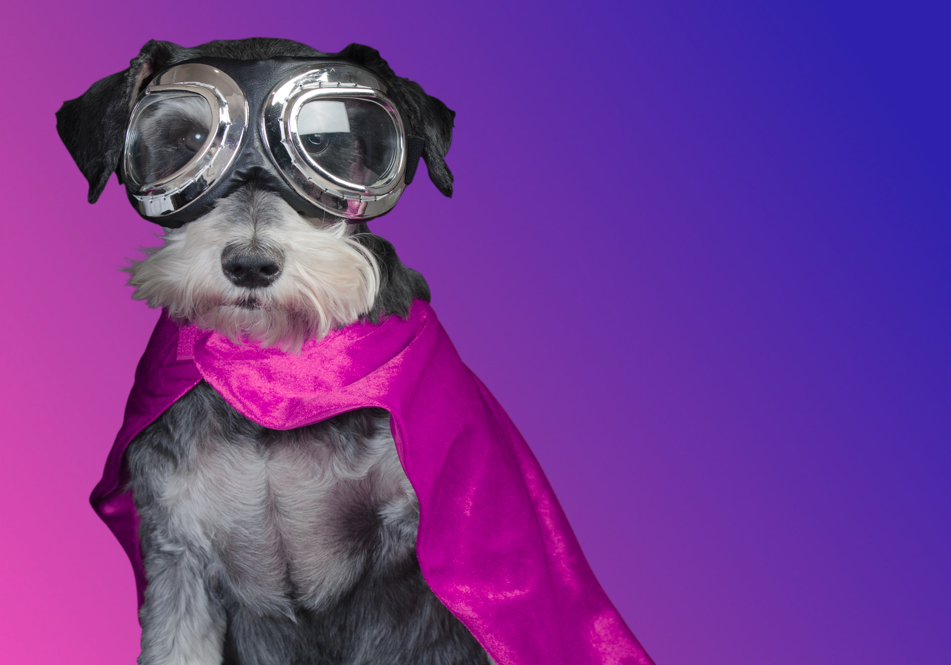 LPA+ offer a unique and innovative service supporting compliance and regulation with creating marketing services for estate agents