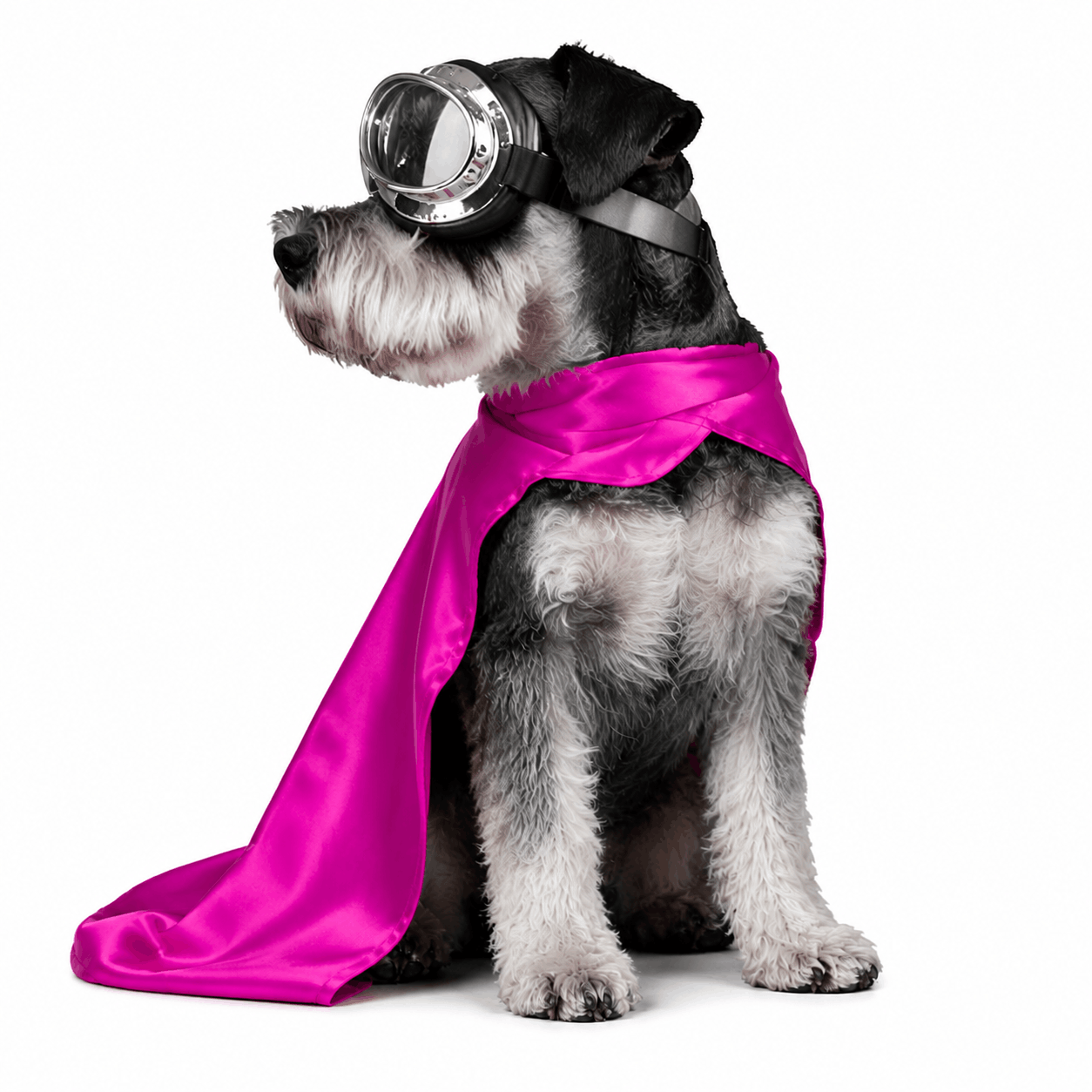 Your loyal property marketing partners